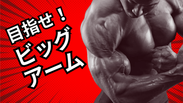 ピラティスの効果とは？姿勢改善・インナーマッスル強化など5つのメリットを解説【初心者向けガイド】