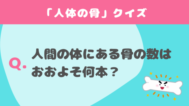 【2025年最新版】初めてでも楽しめる！おすすめマリンアクティビティ5選