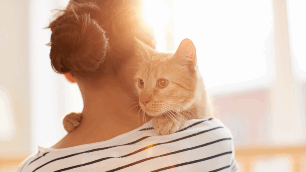 猫と飼い主