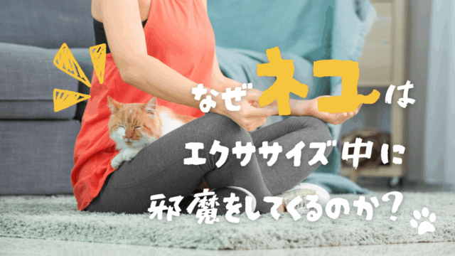 【クイズ】色に関する問題