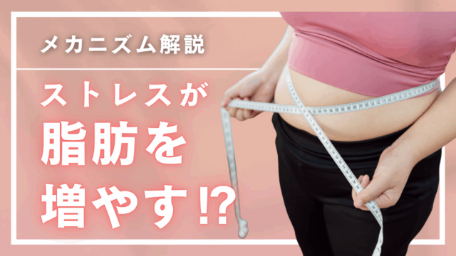 ストレスが脂肪を増やす！？その具体的なメカニズムとは