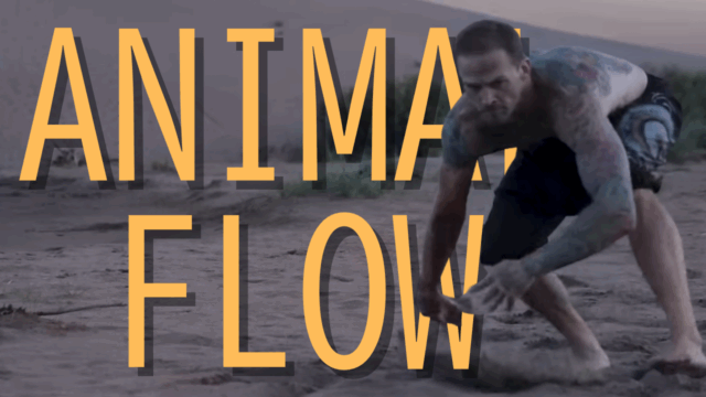 アニマルフロー（Animal Flow）：野生の動きで体を鍛える新感覚フィットネス