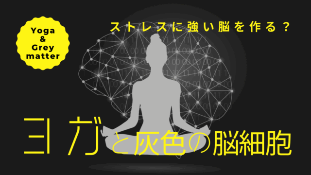 ストレスに強い脳を作る？ヨガと灰色の脳細胞