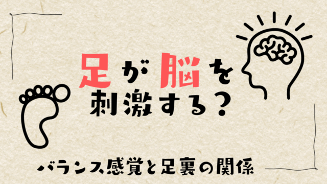 足が脳を刺激する？―バランス感覚と足裏の関係―