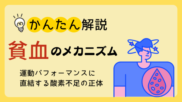 【貧血のメカニズム】運動のパフォーマンスに直結する“酸素不足”の正体