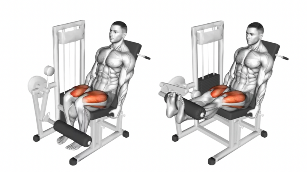 レッグエクステンション