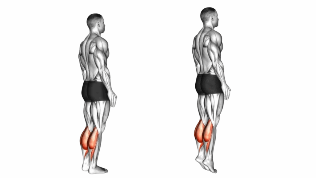 スタンディングカーフレイズ