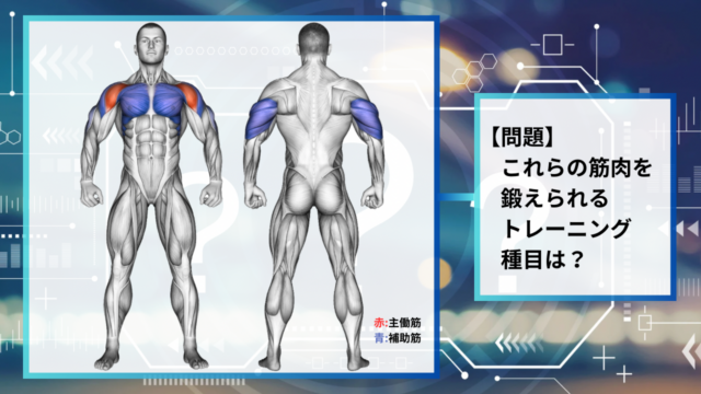 【クイズ】使用する筋肉からトレーニング種目を推理せよ！