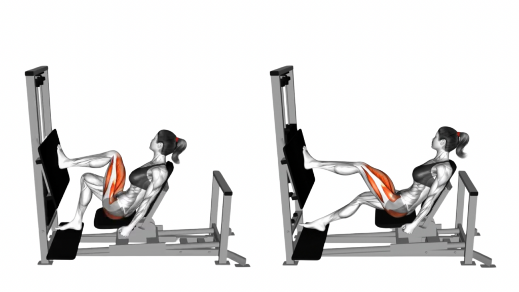 片脚レッグプレス