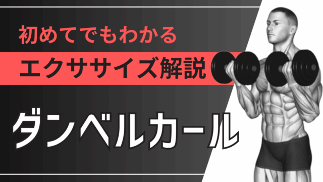 ダンベルカール：初めてでもわかるエクササイズ解説