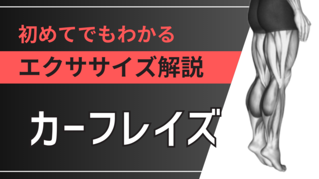 カーフレイズ：初めてでもわかるエクササイズ解説
