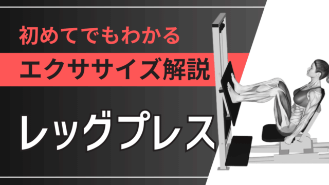 レッグプレス：初めてでもわかるエクササイズ解説