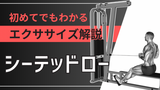 シーテッドロー：初めてでもわかるエクササイズ解説