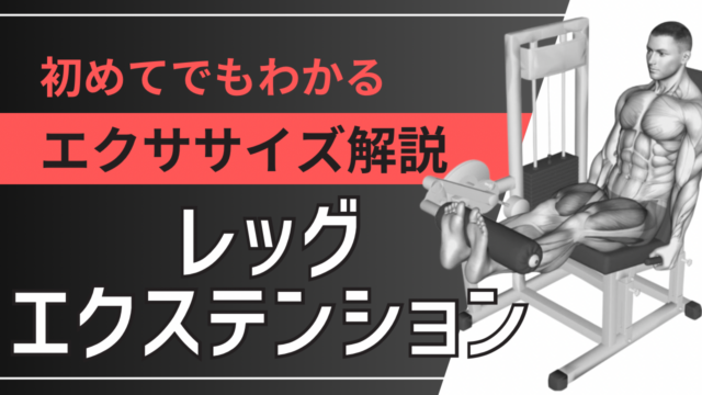 レッグエクステンション：初めてでもわかるエクササイズ解説