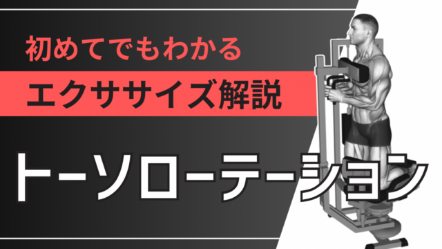 トーソローテーション：初めてでもわかるエクササイズ解説