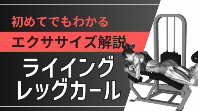 ライイング・レッグカール：初めてでもわかるエクササイズ解説