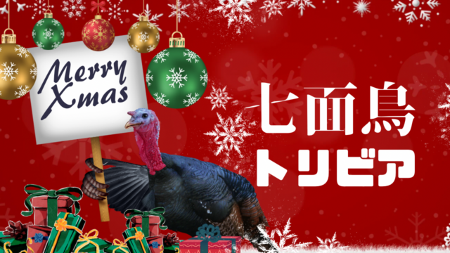 【トリビア】七面鳥ってこんな鳥