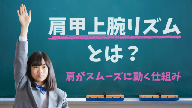 肩甲上腕リズムとは？肩がスムーズに動く仕組みをわかりやすく解説