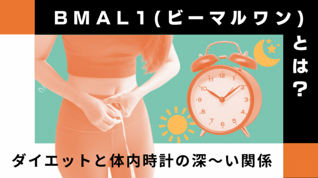 BMAL1（ビーマルワン）とは？ダイエットと体内時計の深い関係