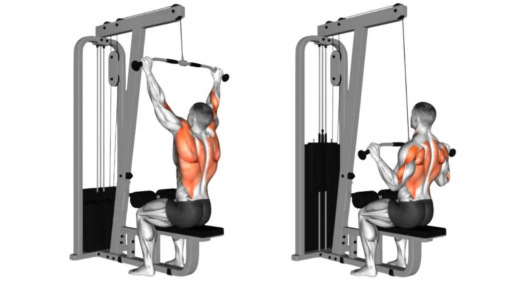 ラットプルダウン