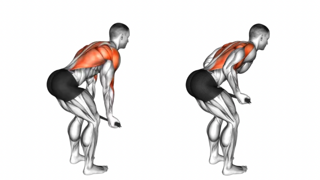 ダンベルベントオーバーロー