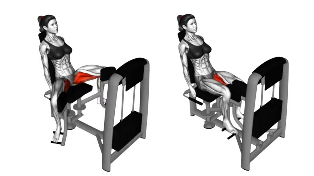 ヒップアダクター