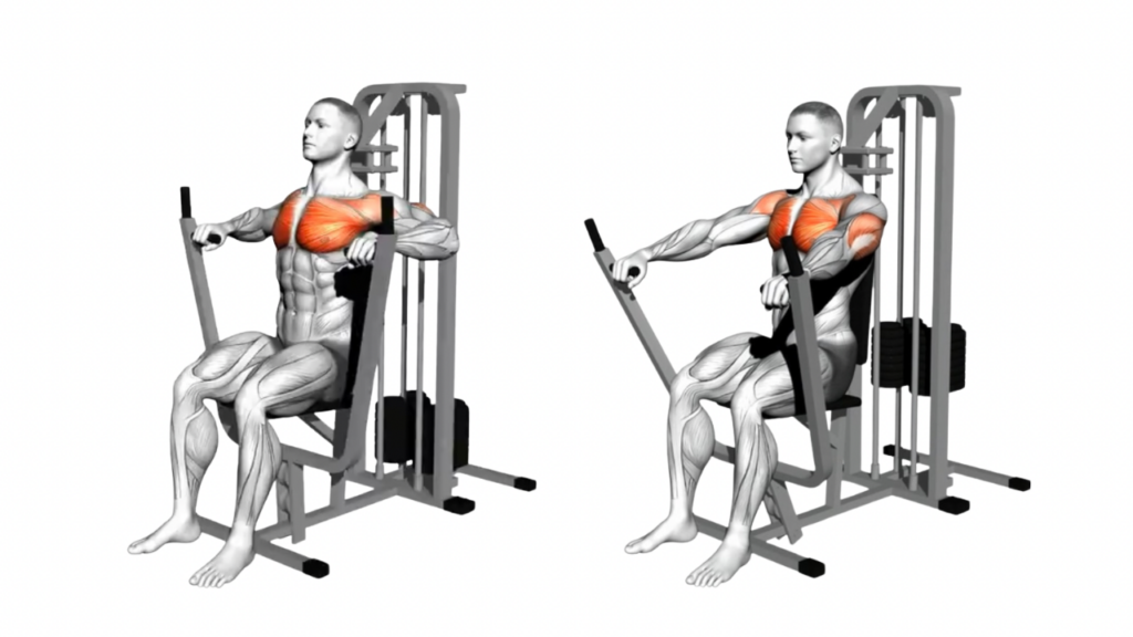 マシンチェストプレス