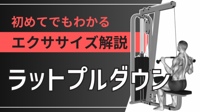 ラットプルダウン：初めてでもわかるエクササイズ解説