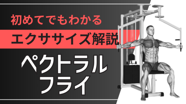 ペクトラルフライ：初めてでもわかるエクササイズ解説