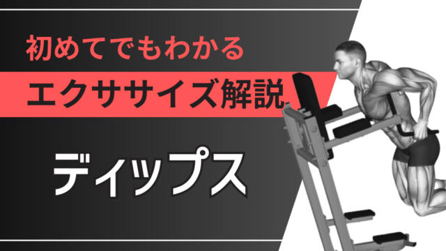 ディップス：初めてでもわかるエクササイズ解説