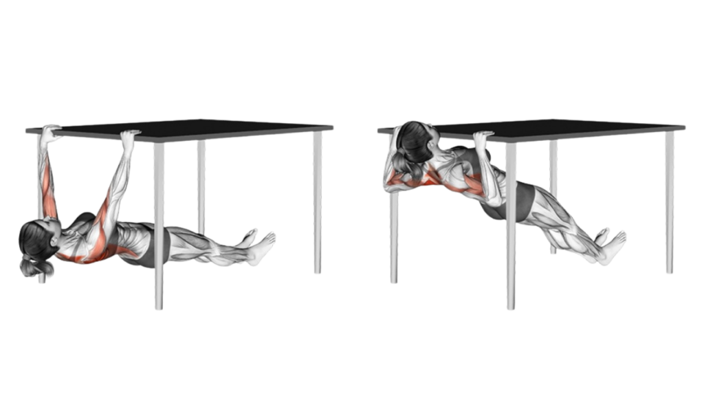 テーブルインバーテッドロー