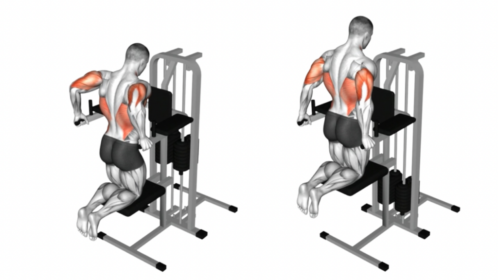 アシストディップス