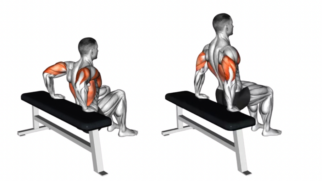 ベンチディップス