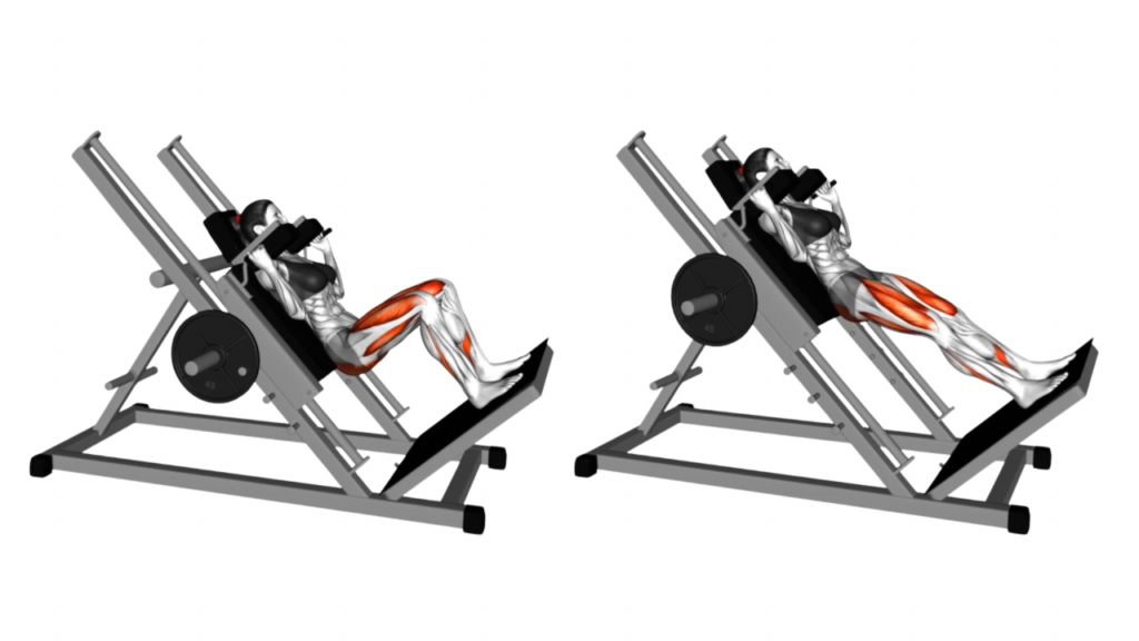 ハックスクワット