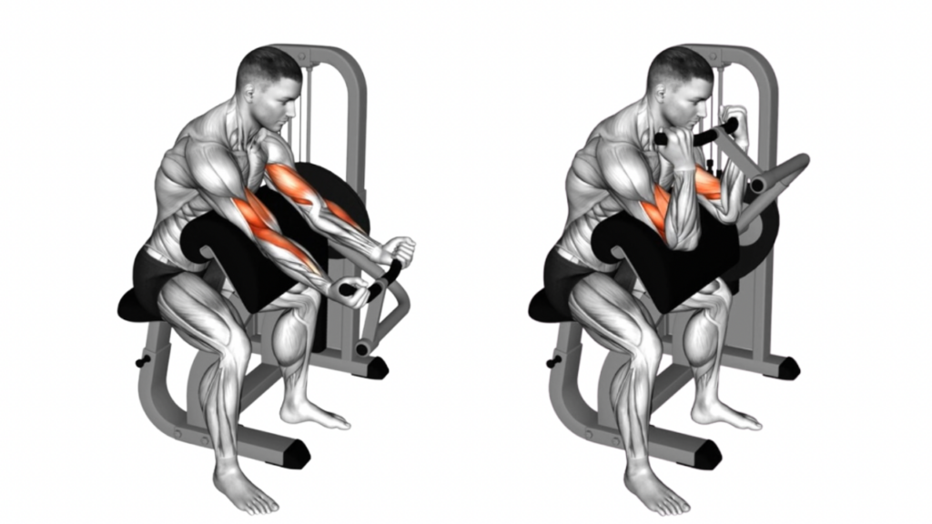 プリチャーカール