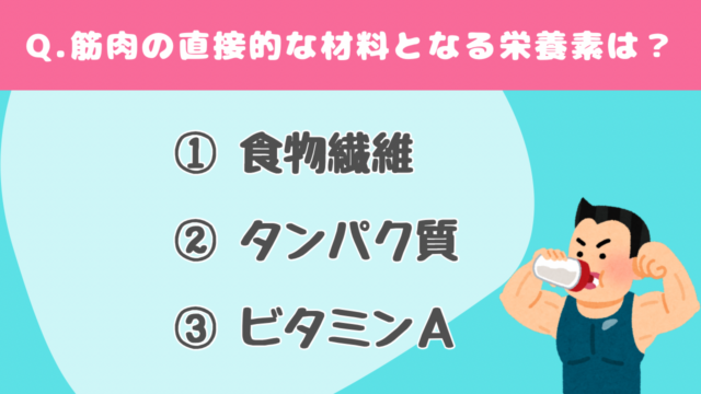 【クイズで学ぶ】バルクアップ