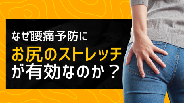 なぜ腰痛予防に“お尻”のストレッチが有効なのか？
