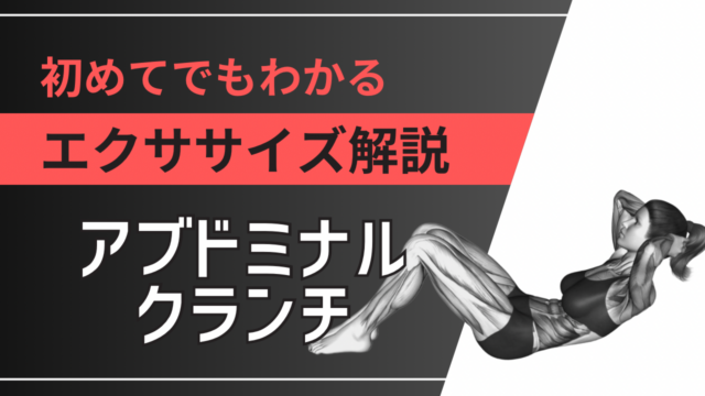 アブドミナルクランチ：初めてでもわかるエクササイズ解説