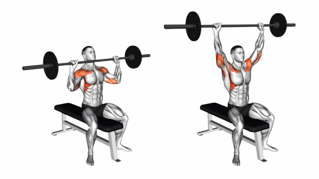 シーテッドショルダープレス