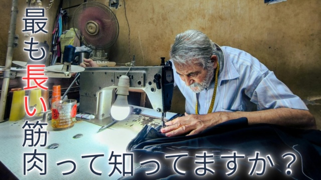 【謎解き】フィットネスなぞなぞ#4「黄赤緑」