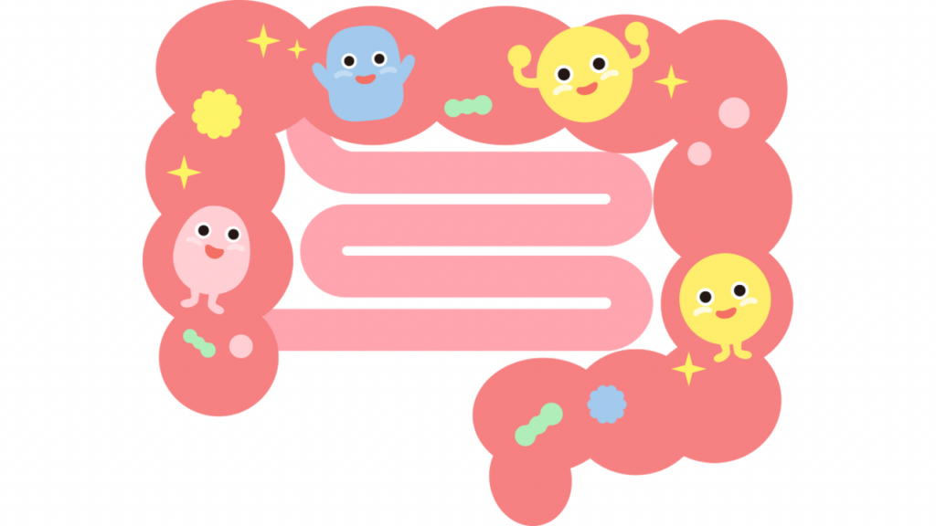 腸内細菌