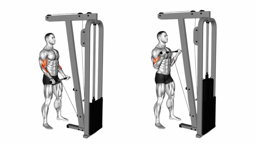 ケーブルカール