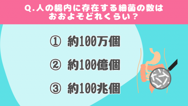 【クイズで学ぶ】腸内細菌