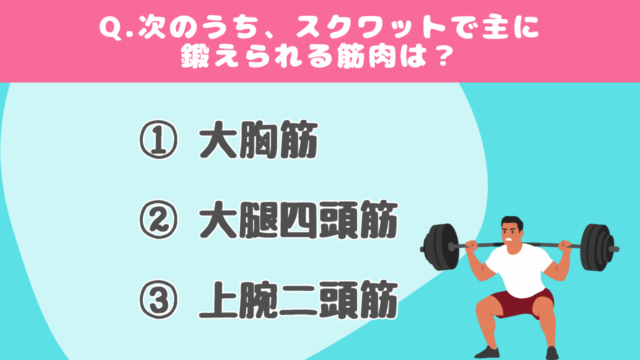 【クイズで学ぶ】スクワット