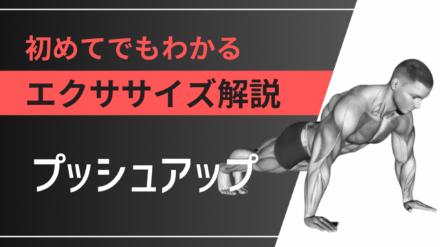 プッシュアップ：初めてでもわかるエクササイズ解説