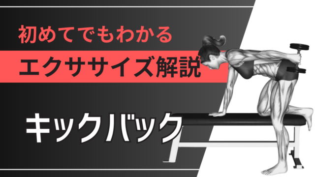 キックバック：初めてでもわかるエクササイズ解説