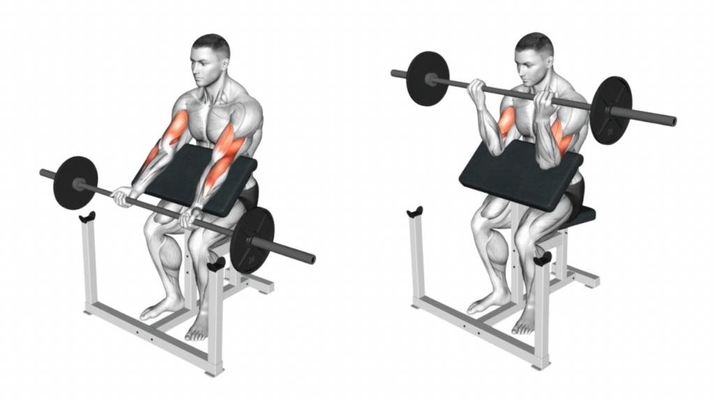 スコットカール