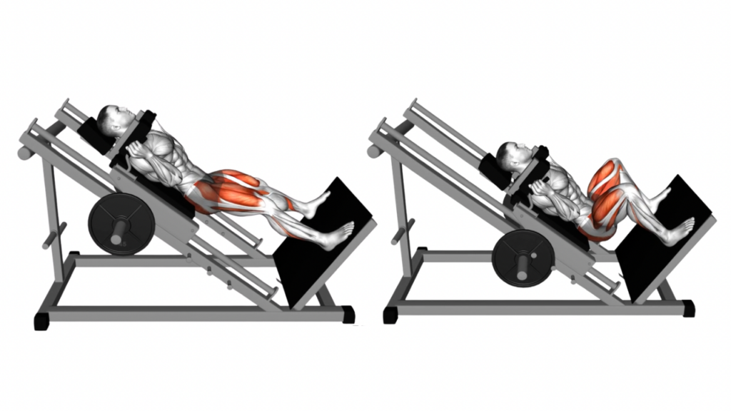 ハックスクワット