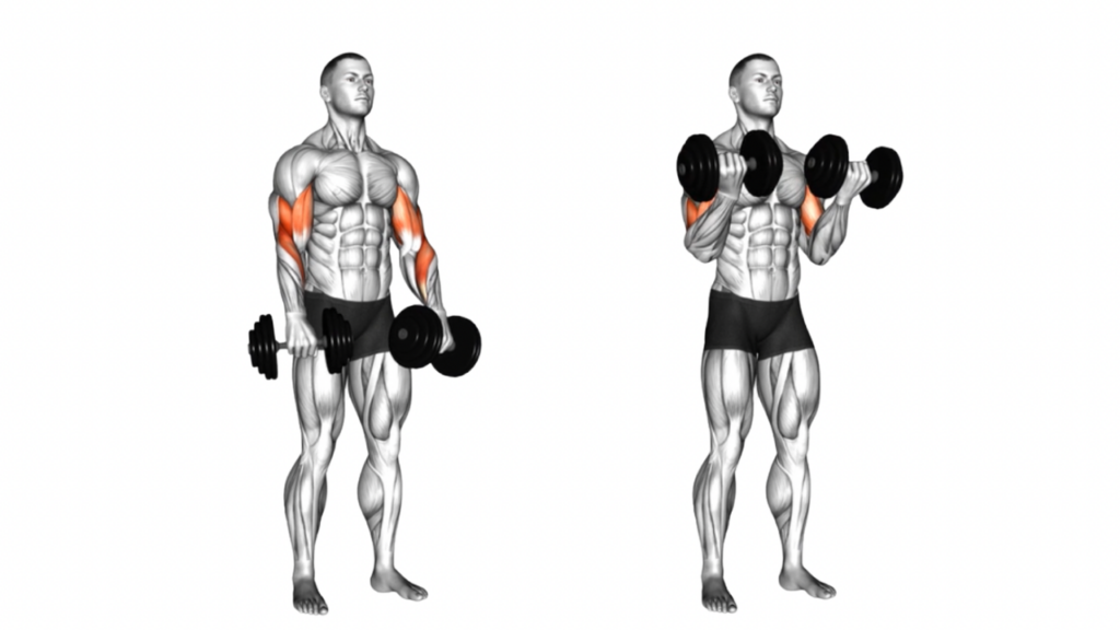 ゾットマンカール