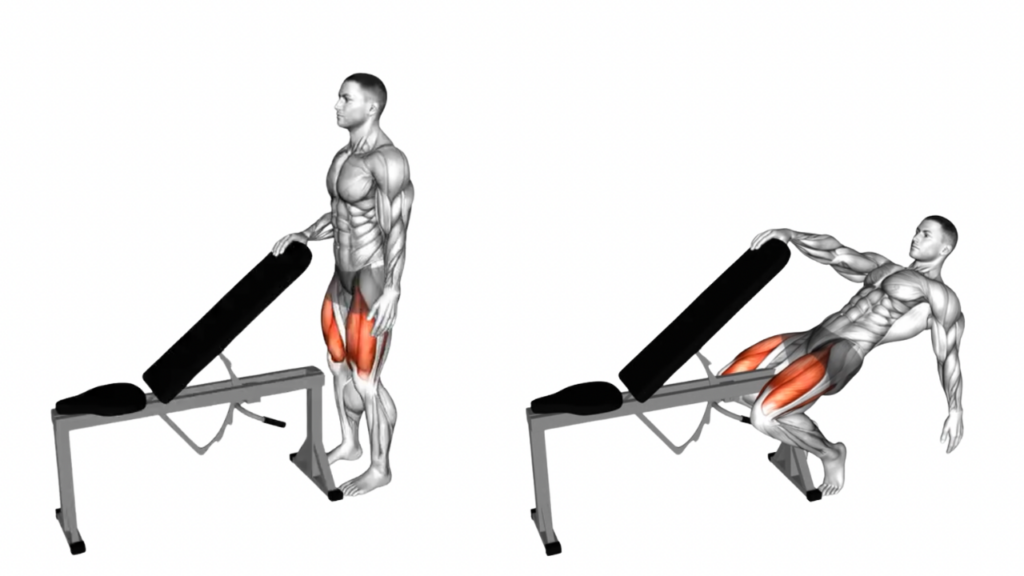 シシースクワット